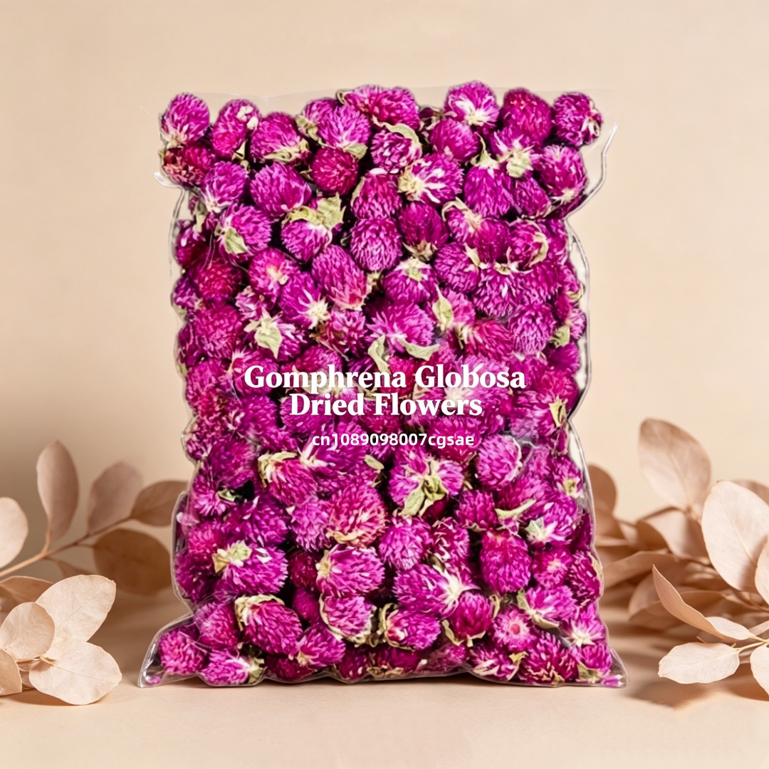 Candle Making And Perfume - Bunga Gomphrena Kering Alami Berkualitas Tinggi