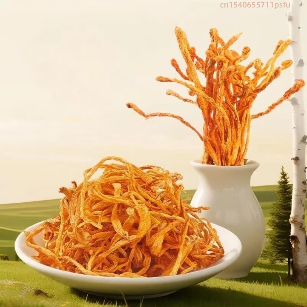 Bunga Hias Buatan Cordyceps un - Candle Making And Perfume ulasan dan harga