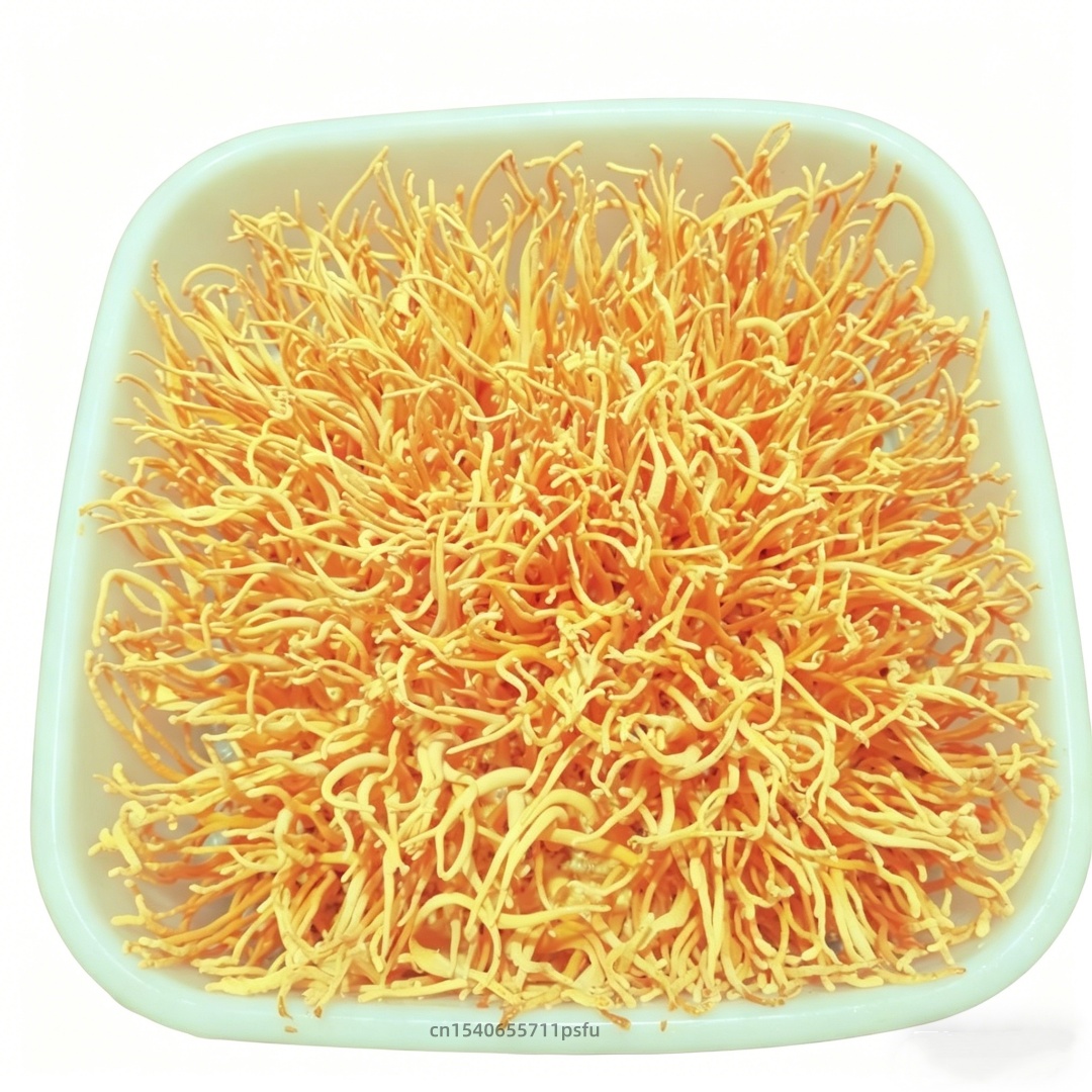 Bunga Hias Buatan Cordyceps un - Candle Making And Perfume ulasan dan harga